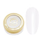 Transparent Pearlescent Chrome Pigment 0.5G - Glazed Dust